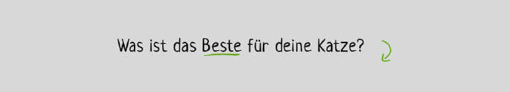 was ist das beste fuer deine katze filtertext